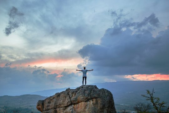 Man on top of Joshua Tree