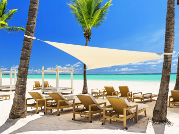 palm trees and beach chairs on a Caribbean beach