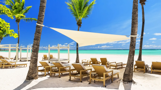 palm trees and beach chairs on a Caribbean beach