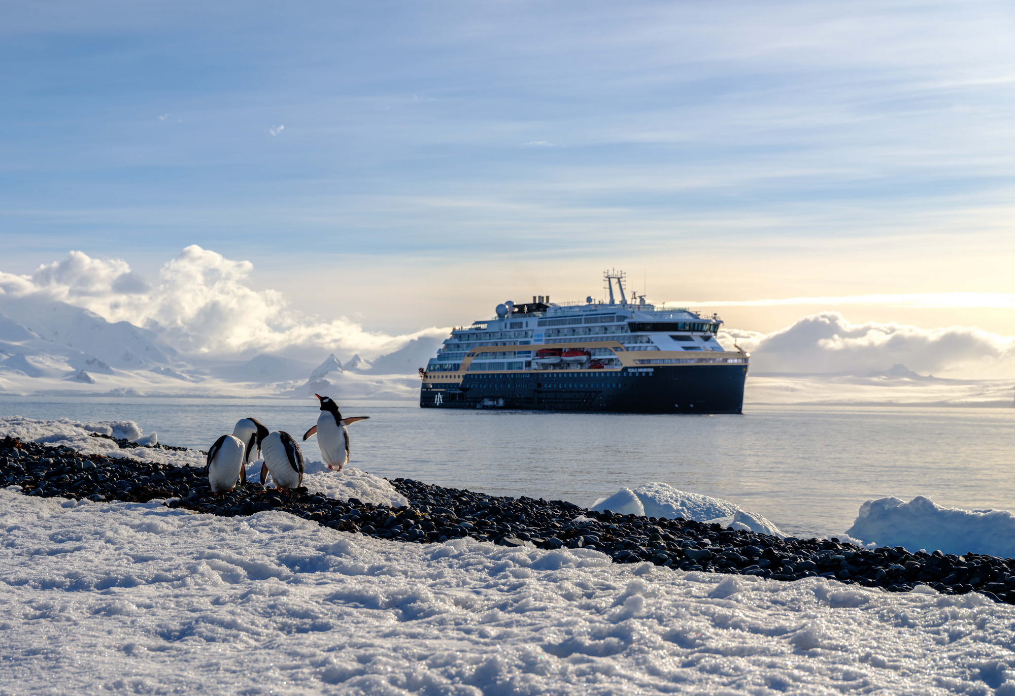 Image: Penguins in Antarctica in front of the MS Roald Amundsen (Photo Credit: HX Expeditions)