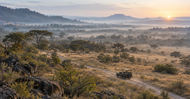 Private safari vehicle travelling through a vast African wildlife reserve at dawn.